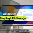fix high RAM usage