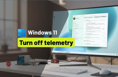 Windows 11 disable telemetry